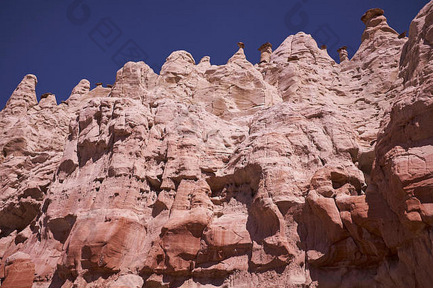 毒菌白色岩石犹他州美国