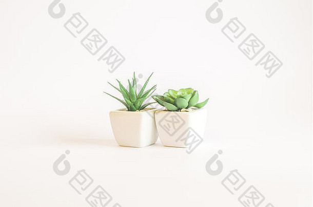塑料植物花瓶孤立的白色背景