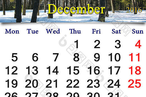 美丽的日历12月丝带冬天森林日历印刷办公室生活