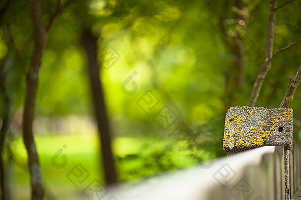 石头栅栏模糊森林背景