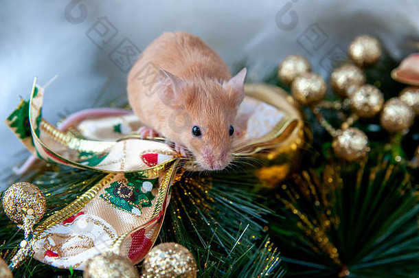 鼠标背景圣诞节装饰
