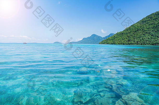 完美的热带绿松石清晰的海洋水绿色郁郁葱葱的岛夏天假期自然背景蓝色的阳光明媚的天空