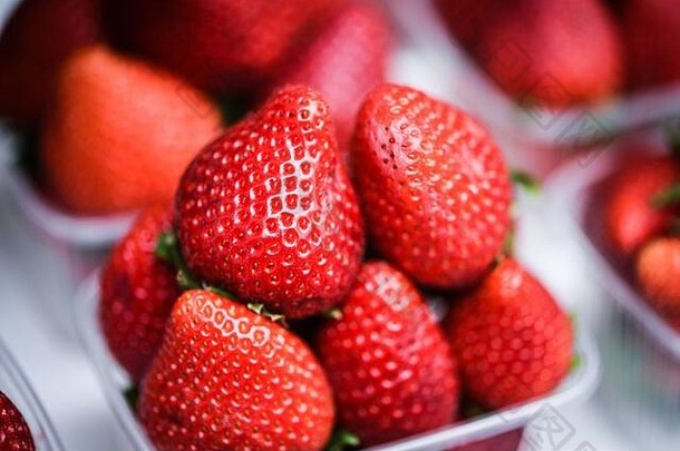新鲜的草莓关闭水果市场布拉格