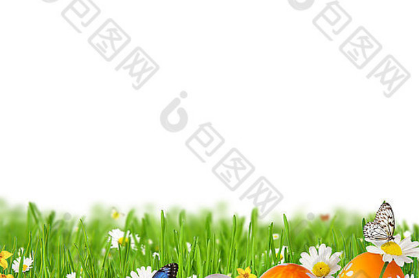 彩色的复活节鸡蛋草免费的空间文本