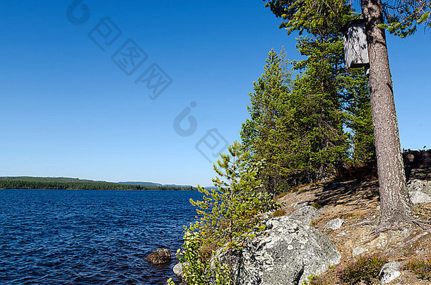 禽舍松海边图片湖北瑞典
