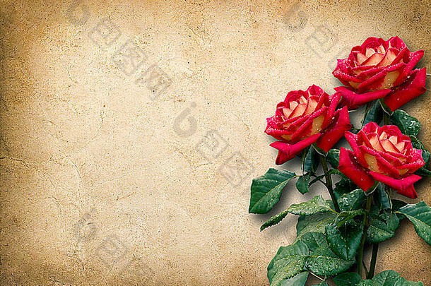 古董卡祝贺你红色的玫瑰古董风格