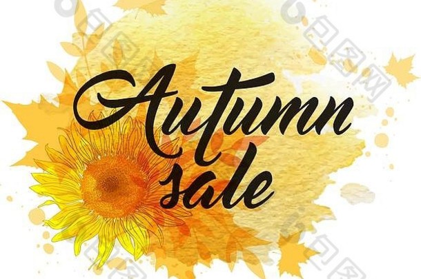 摘要秋天背景黄色的向日葵下降枫木叶子秋天出售刻字黄色的水彩的屁股