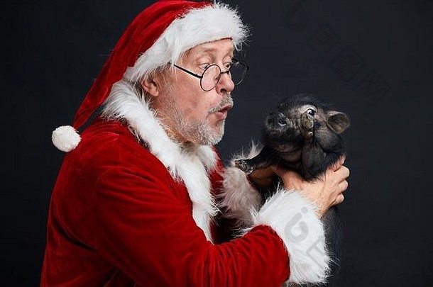 肖像岁的惊讶暴眼惊讶圣诞老人老人宽开放眼睛口持有黑色的猪黑色的背景中国人象征