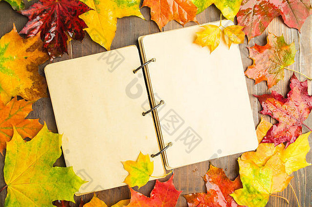 秋天概念湿枫木叶子开放笔记本中心复制空间