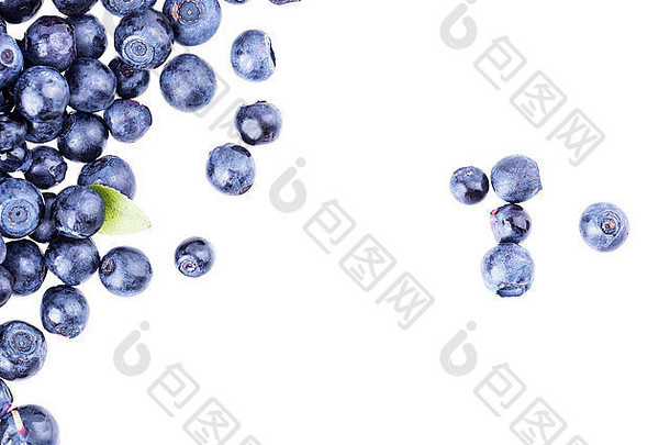 蓝莓孤立的蓝莓白色蓝色的浆果水果