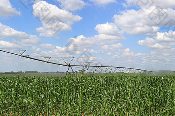 灌溉系统农业粮食场