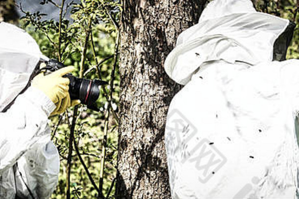 摄影师采取图片养蜂人花园蜜蜂飞行养蜂人真实的场景养蜂生活
