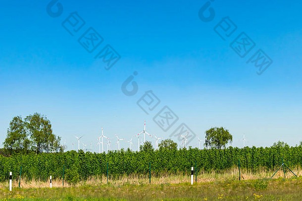 风涡轮机环境友好的能源生产场德国