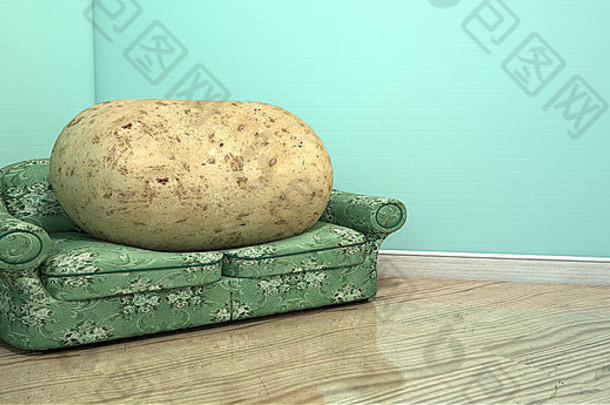 文字描述土豆坐着古董沙发花织物角落里空房间光