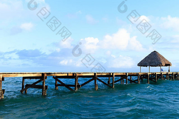 丝带木露台椅子海滩日落日出背景海滨座位休息展馆棕榈树蓝色的水