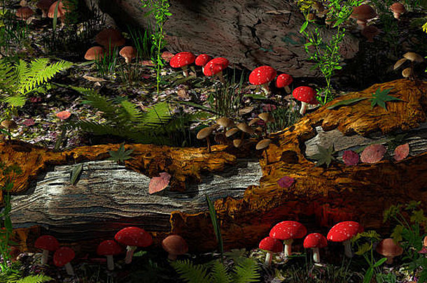 插图森林地板上很多类型蘑菇下降树莫斯植被
