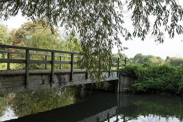 木桥河