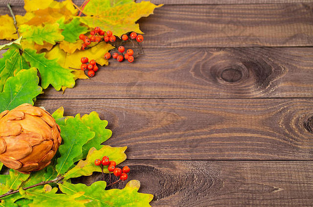 明信片背景壁纸黄色的橡木叶子红色的罗文浆果秋天装饰复制空间