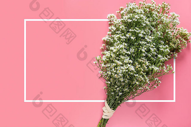 有创意的最小的春天新鲜的白色花花束孤立的粉红色的背景白色边境框架复制空间文本问候卡