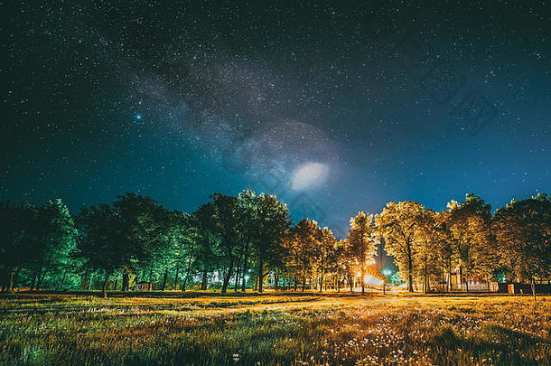 绿色树森林公园晚上布满星星的天空晚上景观自然真正的发光的乳白色的星星草地夏天季节视图