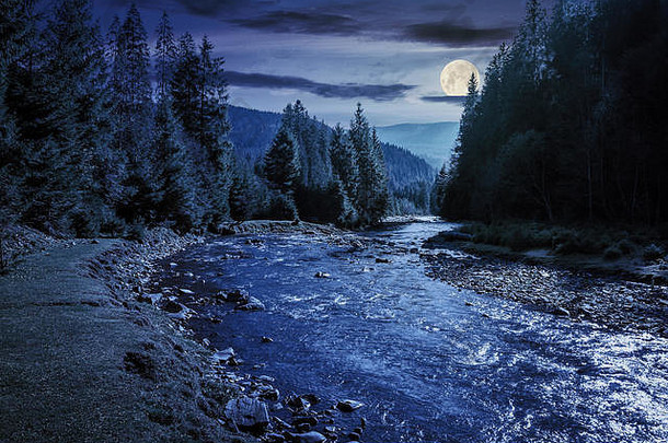 山河绕组森林晚上完整的月亮光美丽的自然风景秋天云杉树海岸美妙的synevyr