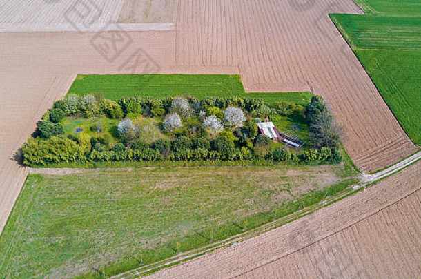 自然景观空中视图场培养绿色草农村农业污垢路