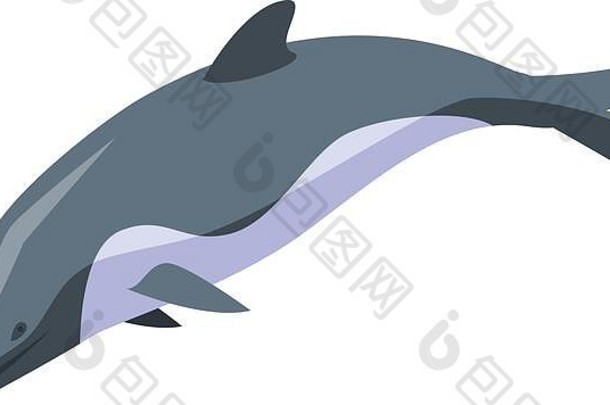 海豚游泳图标等角风格