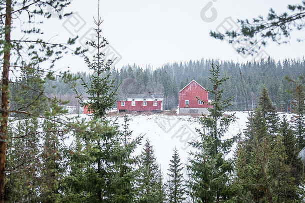 美丽的木房子森林挪威