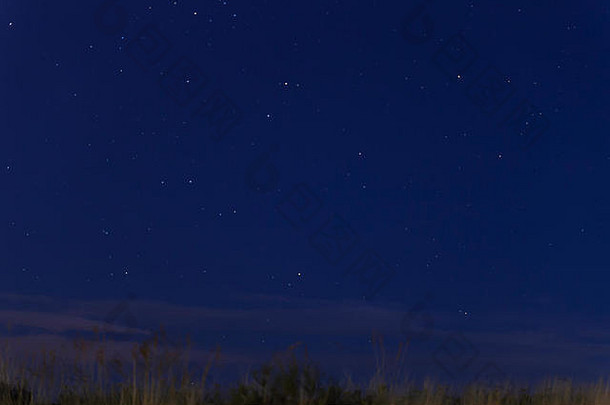 视图蓝色的晚上天空布满星星的草移动空气吊袜