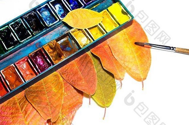 美丽的色彩斑斓的叶子秋天树谎言调色板石油油漆美丽的色彩斑斓的抽象创建