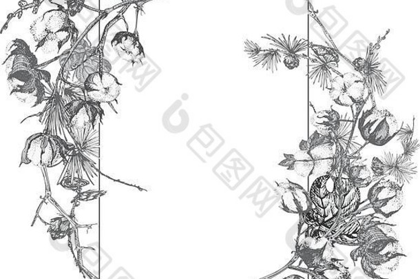 手画植物草图加兰圣诞节植物古董雕刻黑色的白色风格插图传统的假期装饰