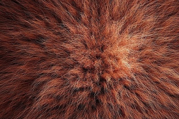 渲染毛发粗浓杂乱的地毯羊毛材料背景纹理关闭软有吸引力的棕色（的）毛茸茸的