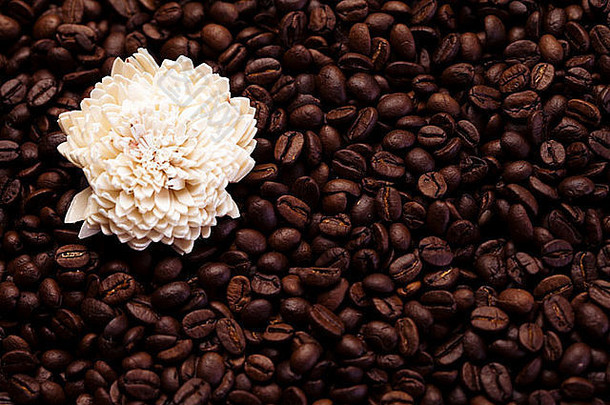 香气咖啡咖啡豆