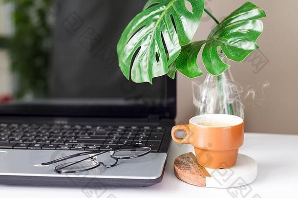 静物肖像电脑咖啡杯子表格植物明亮的环境