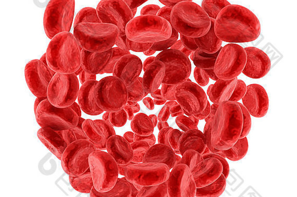 红色的血细胞孤立的