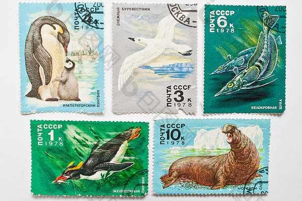 乌日哥罗德乌克兰约集合邮资邮票印刷苏联显示动物南极洲约
