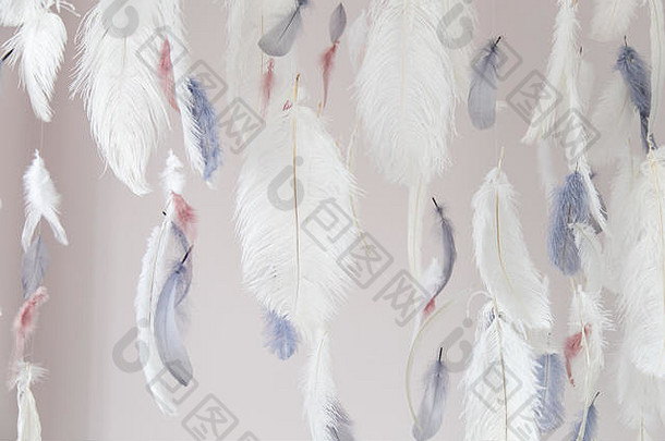室内装饰羽毛空气温柔的照片区软焦点