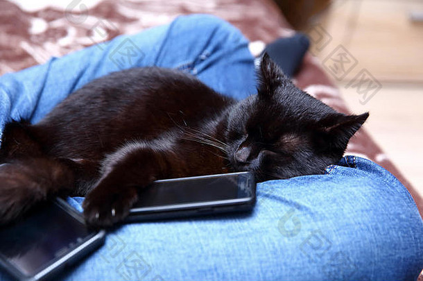猫睡眠智能手机