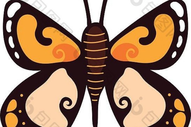 美丽的蝴蝶橙色昆虫平风格图标