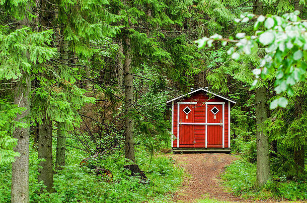 传统的红色的房子北欧洲森林