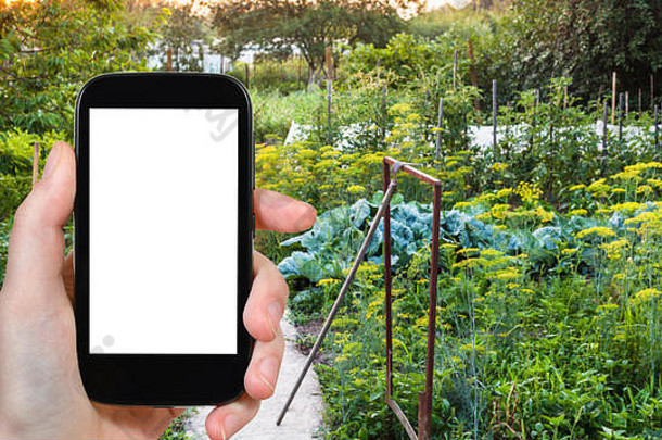 旅行概念旅游照片蔬菜花园夏天日落库班地区俄罗斯智能手机减少屏幕空白的地方