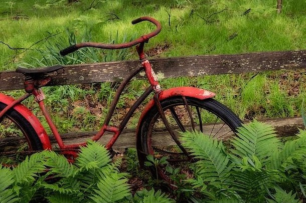 古董女孩roadmaster自行车使克利夫兰焊接公司花园装饰加拿大湖泊中央密歇根美国