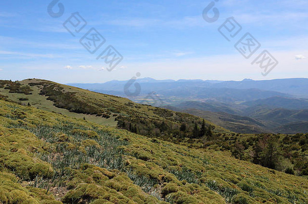 景观庇里牛斯山山宽谷蓝色的多云的天空灌木冷杉松树A PE cap奥罗埃尔阿拉贡地区西班牙