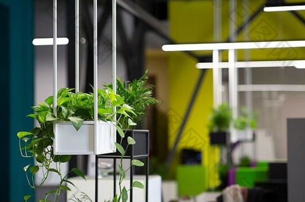 装饰现代办公室室内风格绿色生态环境