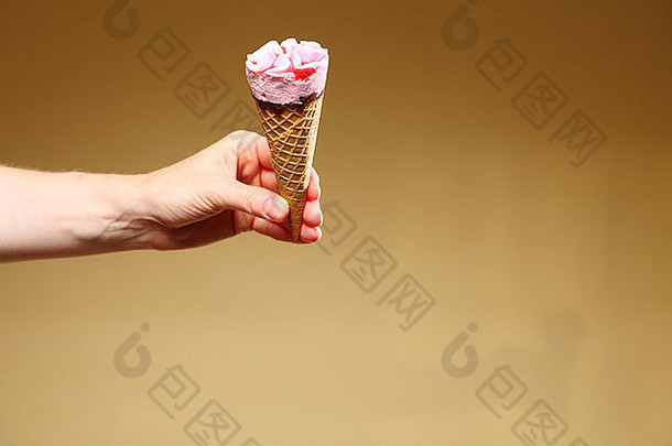 浆果冰淇淋华夫格锥手棕色（的）让人耳目一新甜点夏季