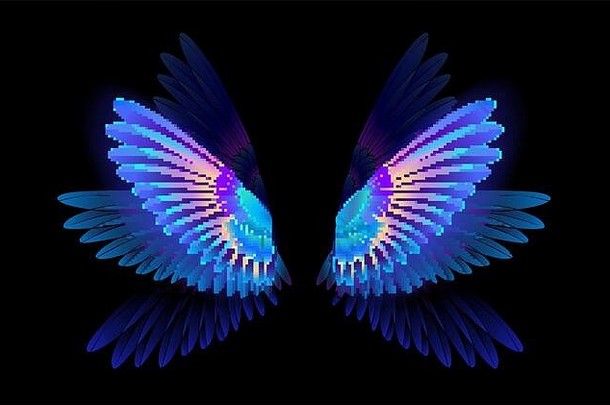 透明的发光的蓝色的彩虹色的蜂鸟翅膀黑暗背景