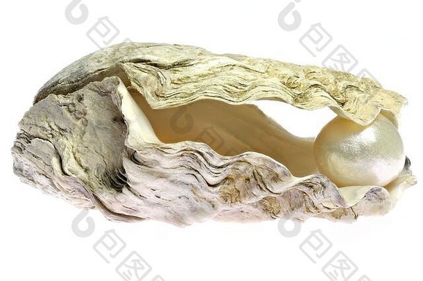 珍珠嵌入式牡蛎孤立的白色背景