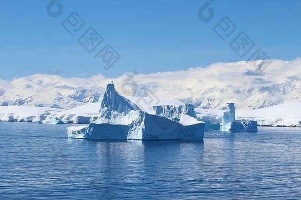 山冰山岛屿南极半岛南极洲