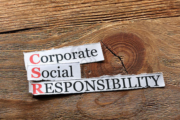 企业社会责任企业社会责任概念纸木