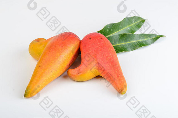新鲜的芒果叶子白色背景辣椒被称为辣椒芒果